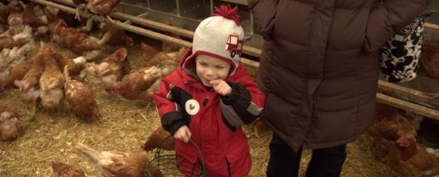 If anyone is going to Blue Hills at Stone Barns in the next few days, you just might eat an egg that was collected by Jack. We drove up to Stone Barns this past Saturday to take part in the Saturday Family Activity, which is egg collecting. After the eggs […]